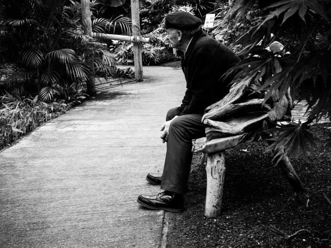 Emslower Emsbüren s/w Fotografie